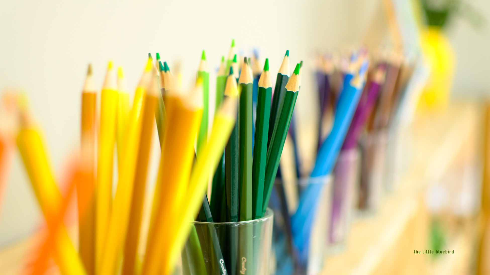 20230824_104053_IMG_5575