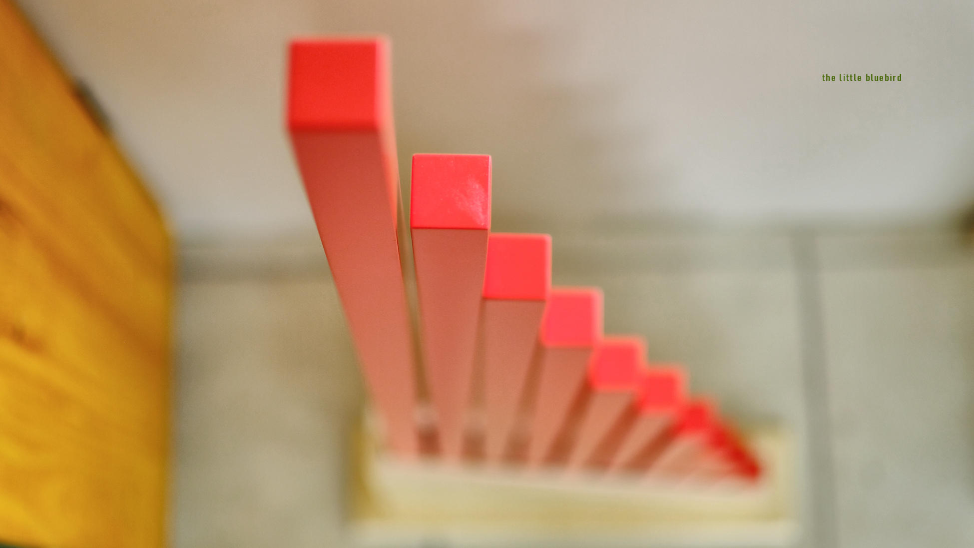 20230824_104552_IMG_5570