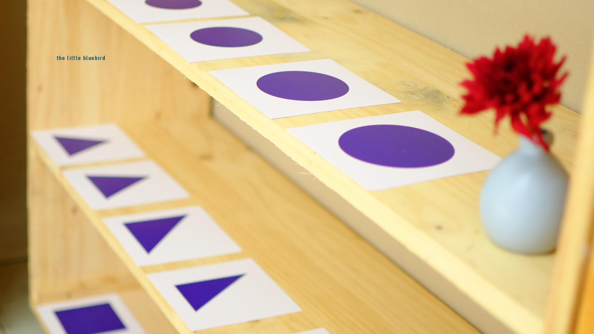 20230824_110627_IMG_5539