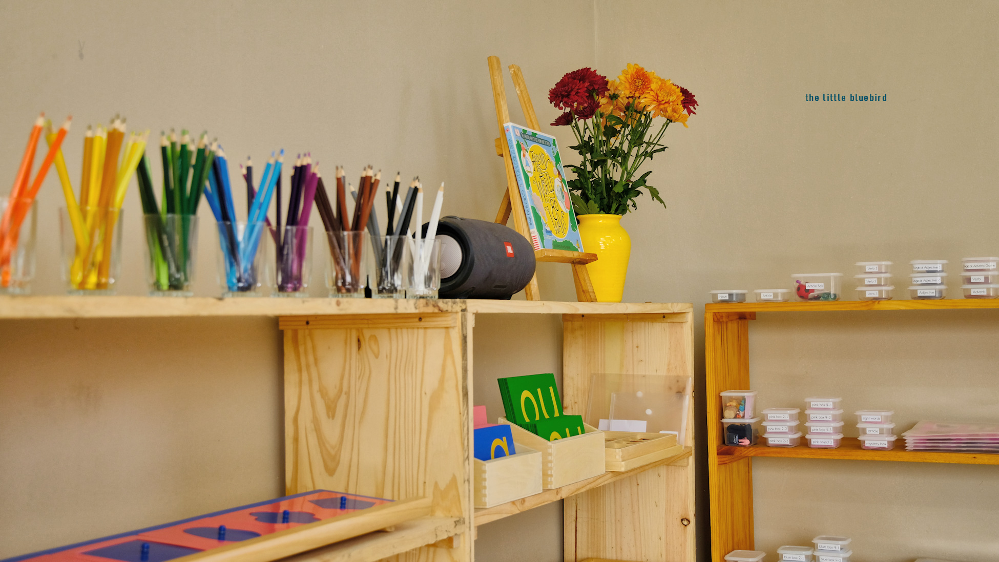 20230824_132023_IMG_5516