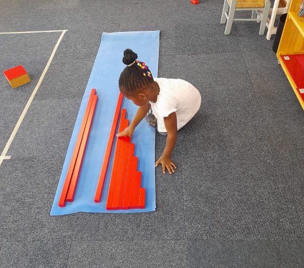 20220301_170033_736d92fa-b9fe-45ae-be12-23229076a8f9