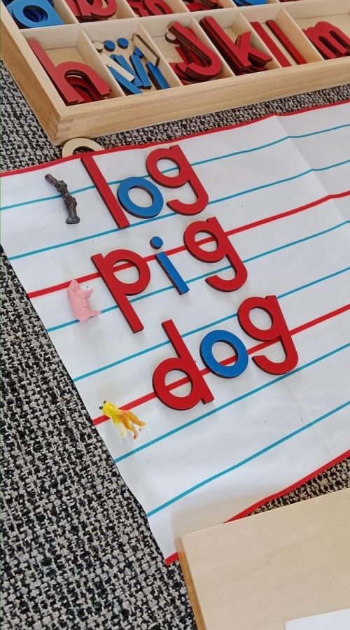 20240130_181250_IMG_8189